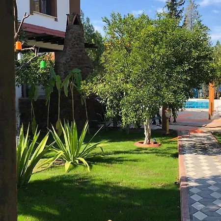 Villa Ii