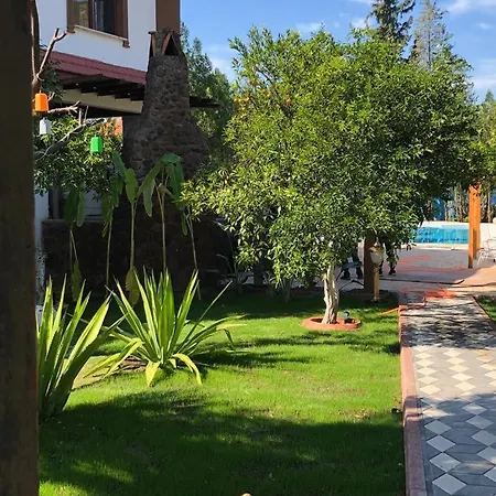 Villa Ii