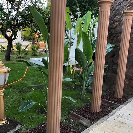 Villa Ii *